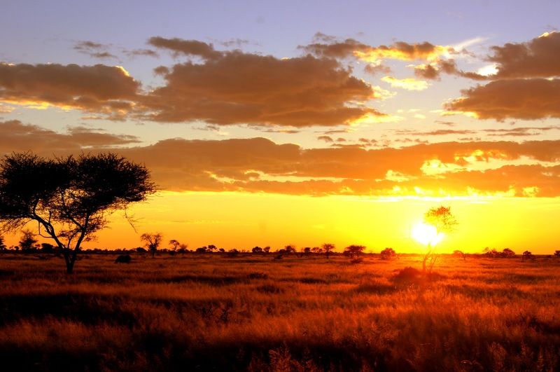 Готель Dornhuegel Guestfarm Grootfontein Екстер'єр фото